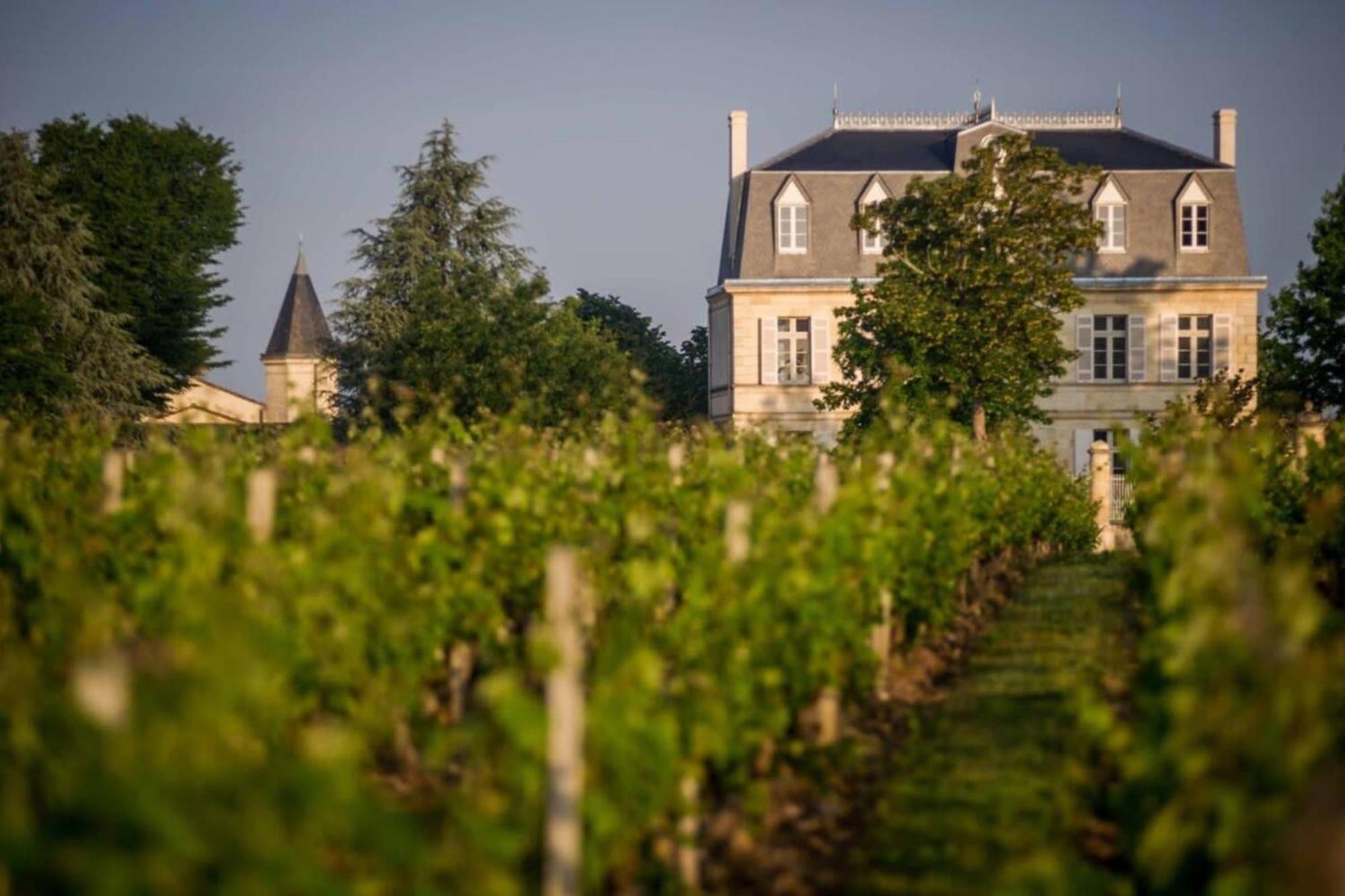 Chateau Malescasse Lamarque Dış mekan fotoğraf